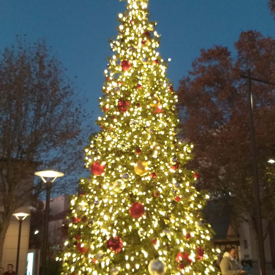 Walnut Creek Downtown