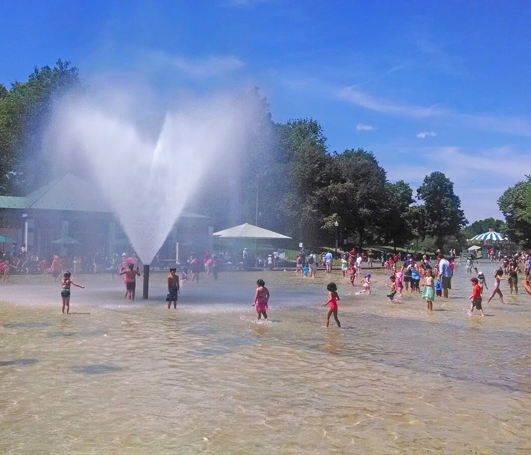 Boston Common Frog Pond 4