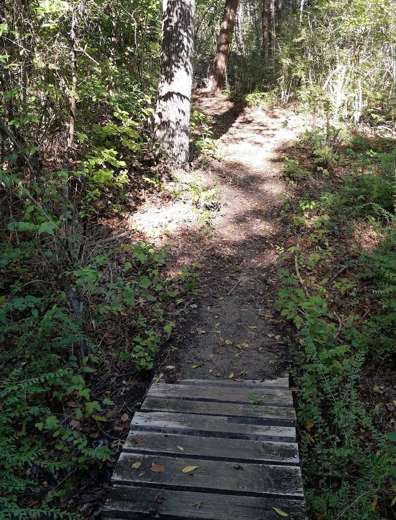 Pollinator Walk 3