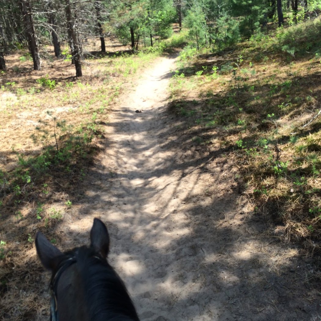 Otter Creek Horse Trails 2