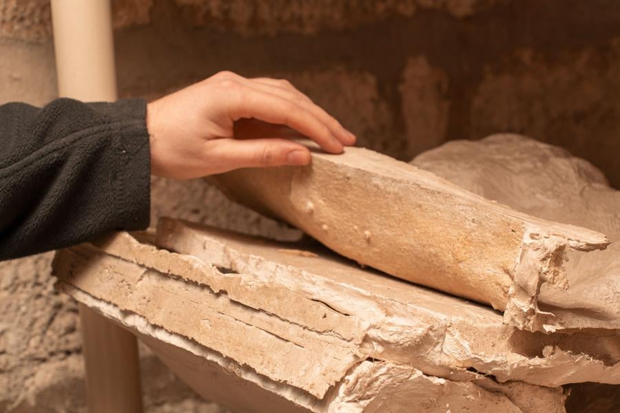 Visite guidée : le dépôt lapidaire du Château de Vincennes 2