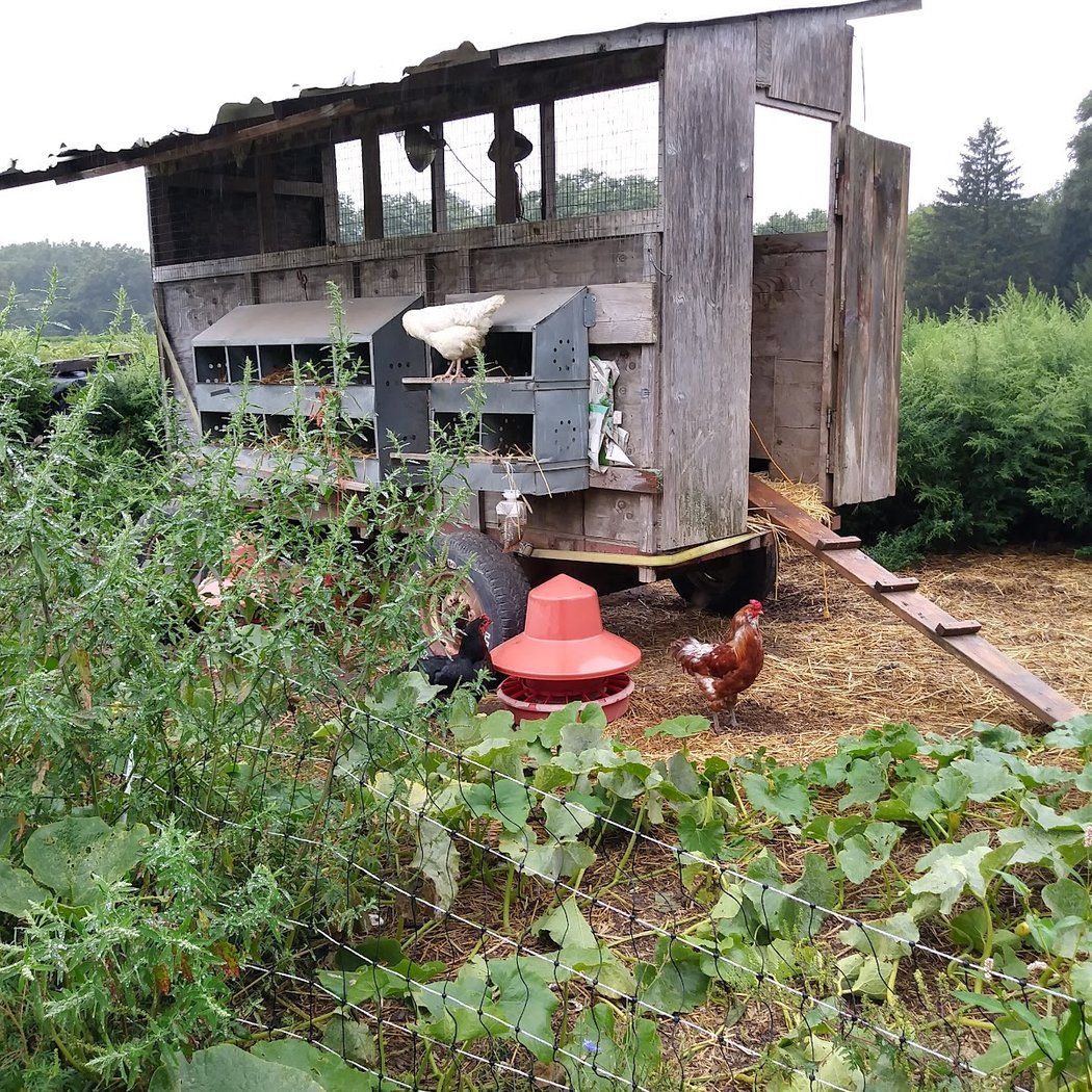 Taliaferro Farms 3