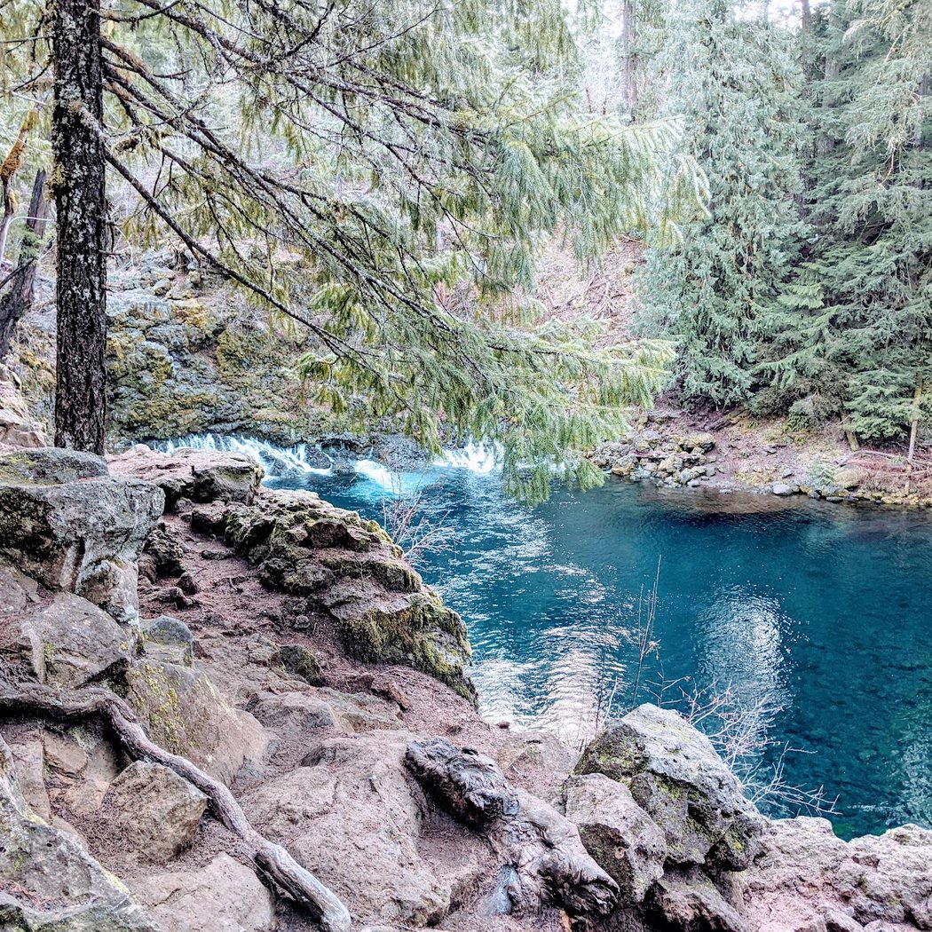 McKenzie River 5