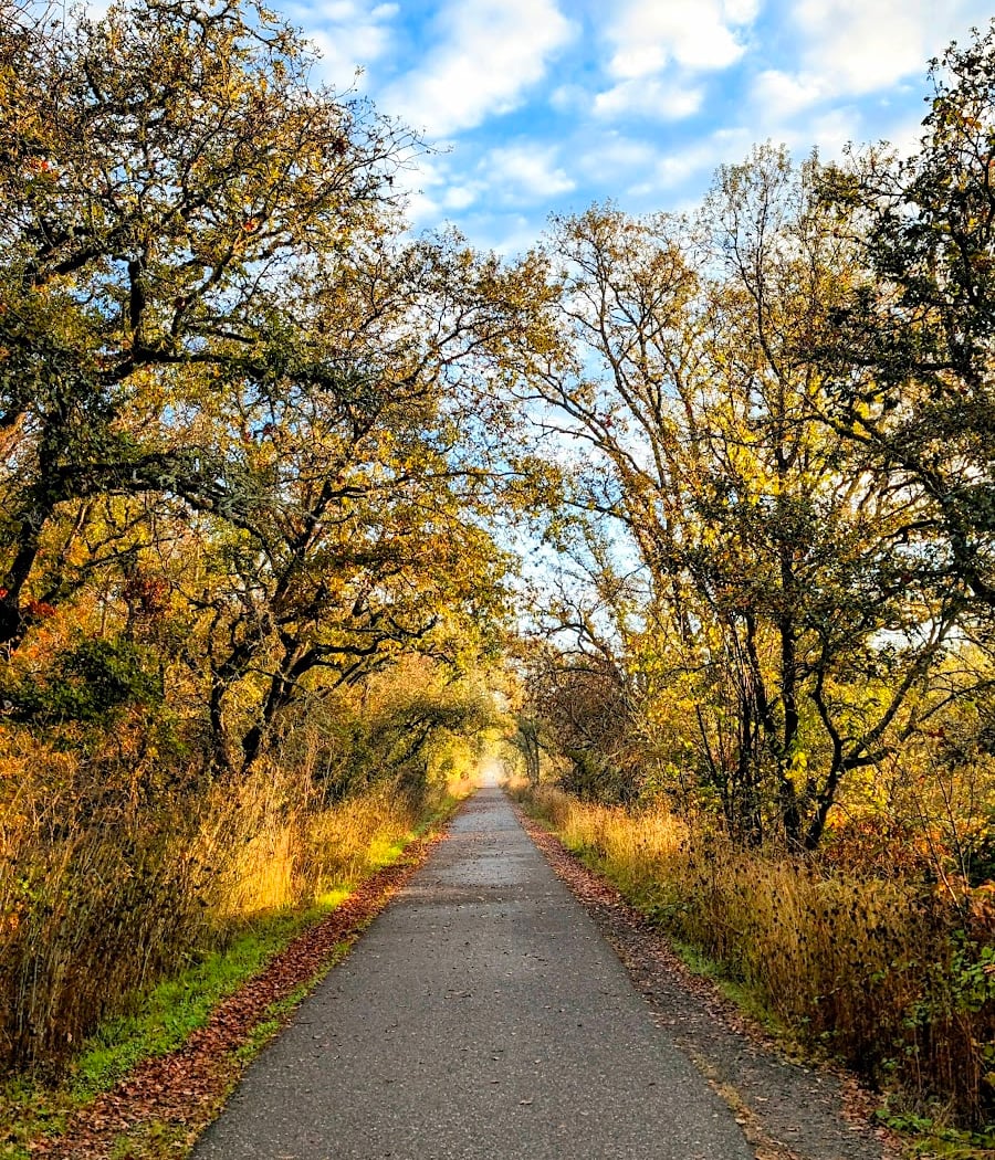 Joe Rodota Trail 1