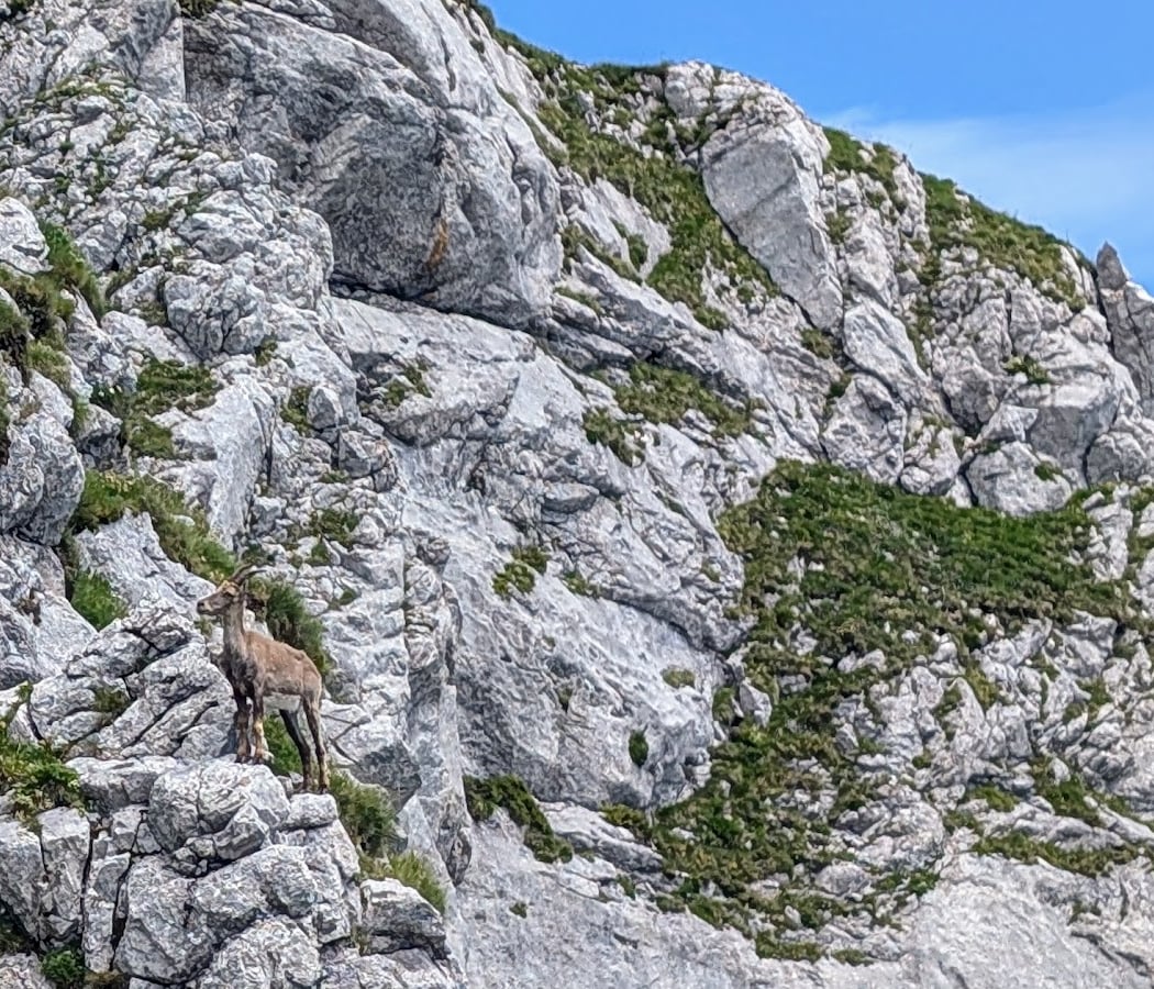 Dent d'Oche 3