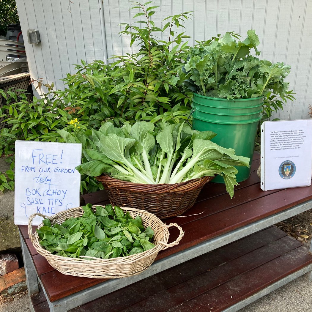 Volunteer Orientation at the Growing Center 2