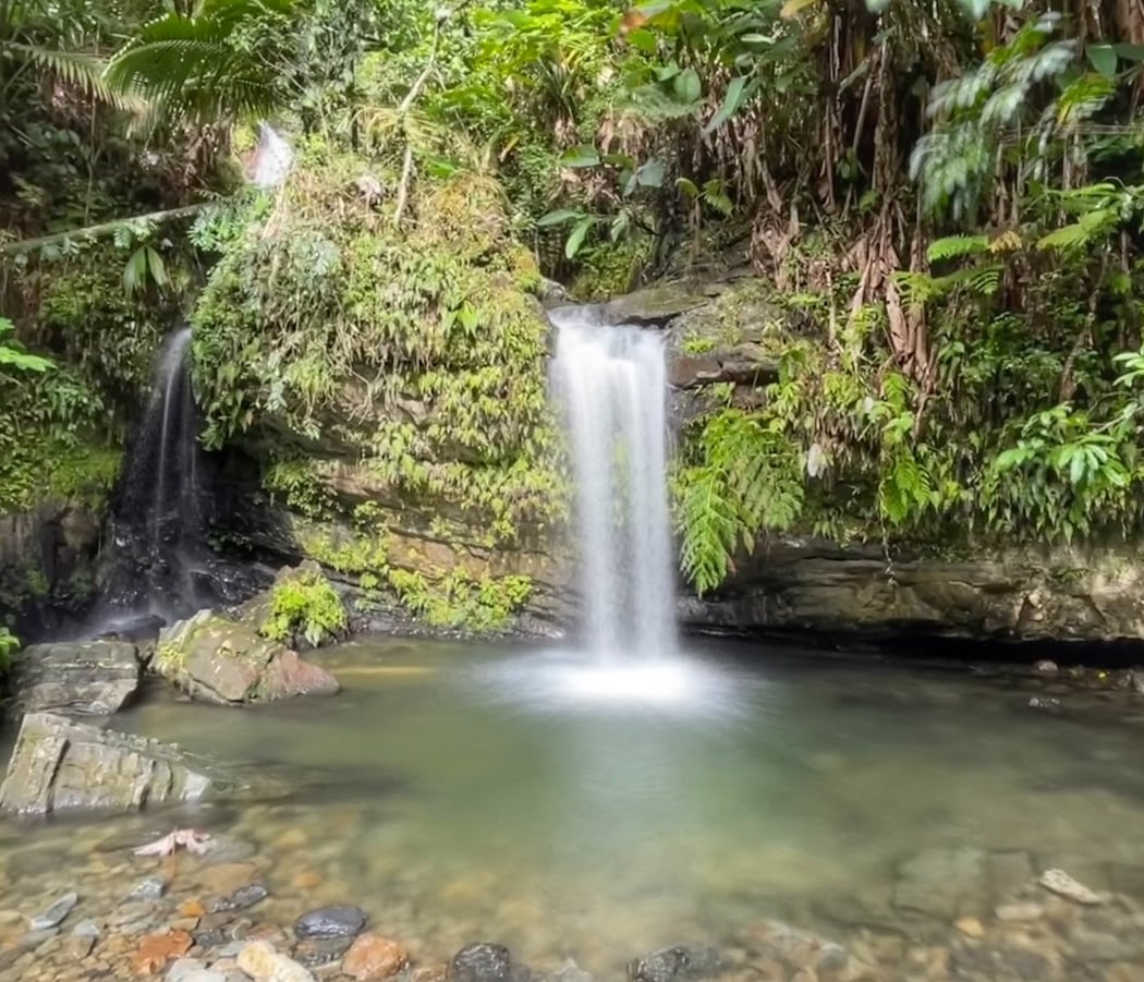 El Yunque National Forest 3