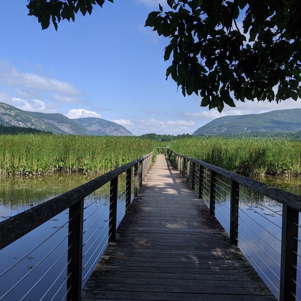 Constitution Marsh Audubon Center and Sanctuary 2