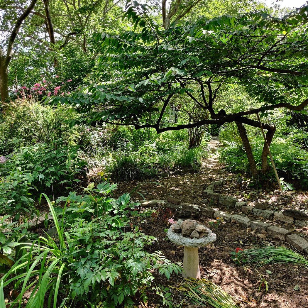M’Finda Kalunga Garden 1