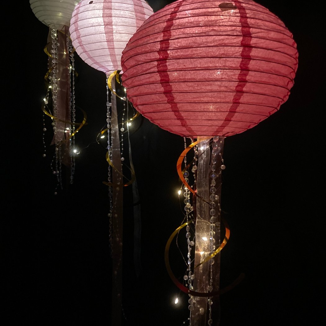 Paper Lantern Jellyfish 1