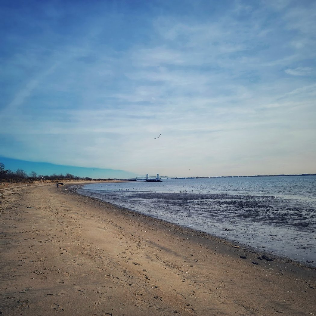 Lew Fidler Park 1