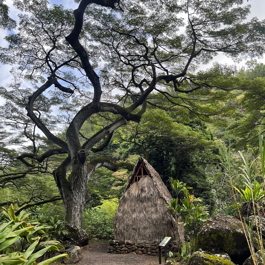 Waimea Valley 3