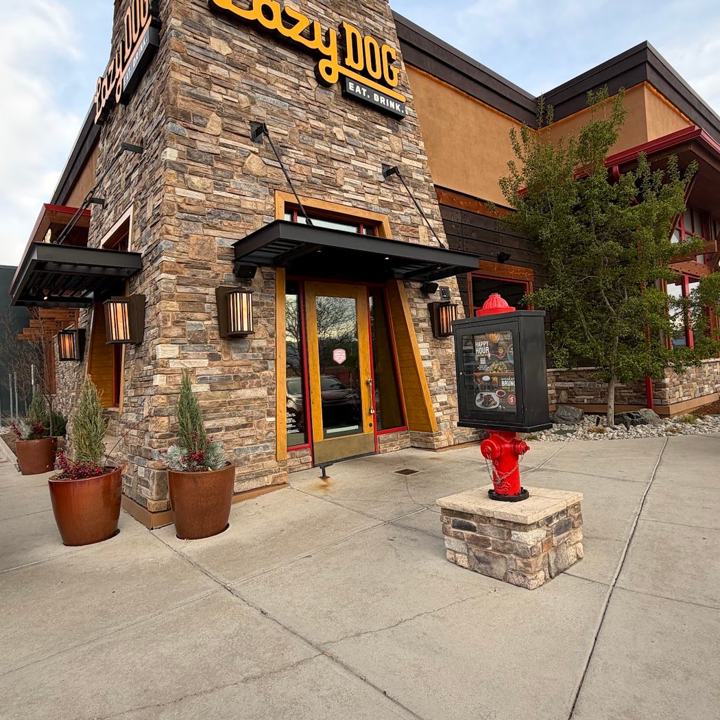 Lazy Dog Restaurant & Bar 3