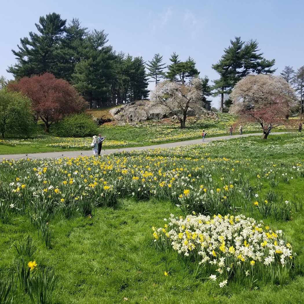 Everett Garden Gate, NYBG 2