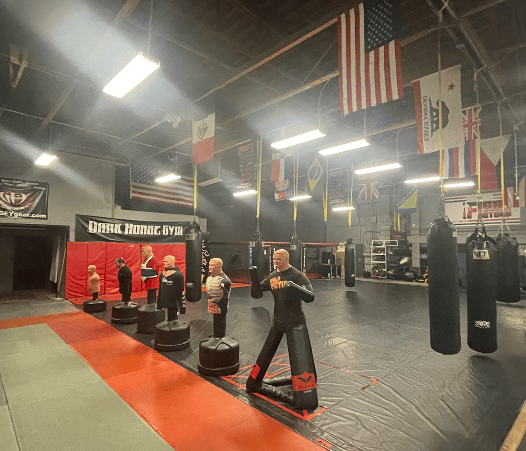 Dark Horse Gym 2