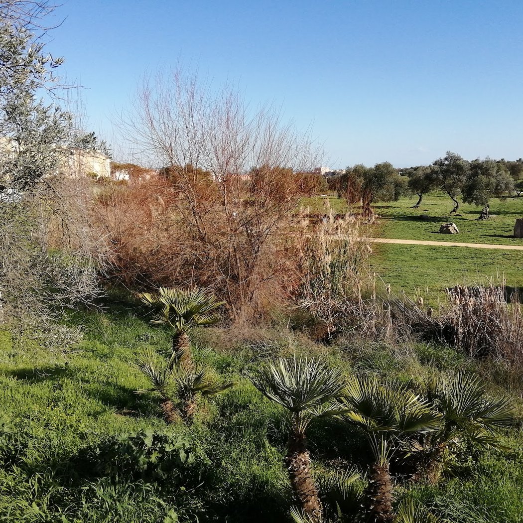 Perros el Zaudín Park 2