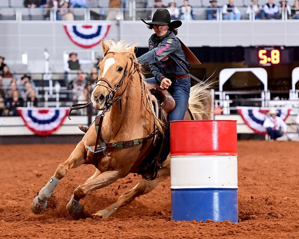 Bulls, Bands and Barrels 2