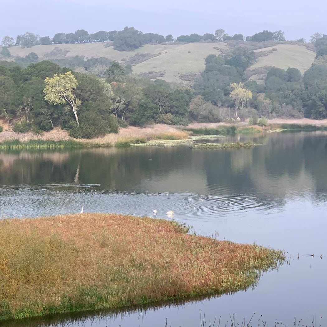 Intersection of Lafayette Reservoir Rim Trail & Moraga Way Trail 3