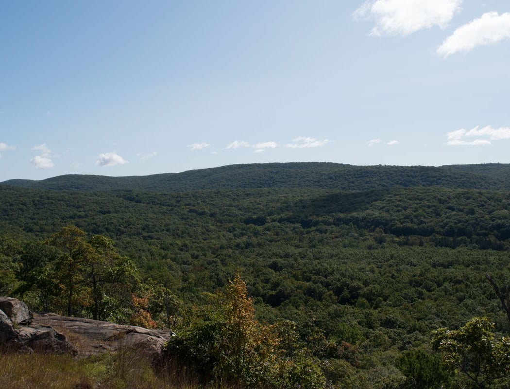 Pine Meadow Trail 2