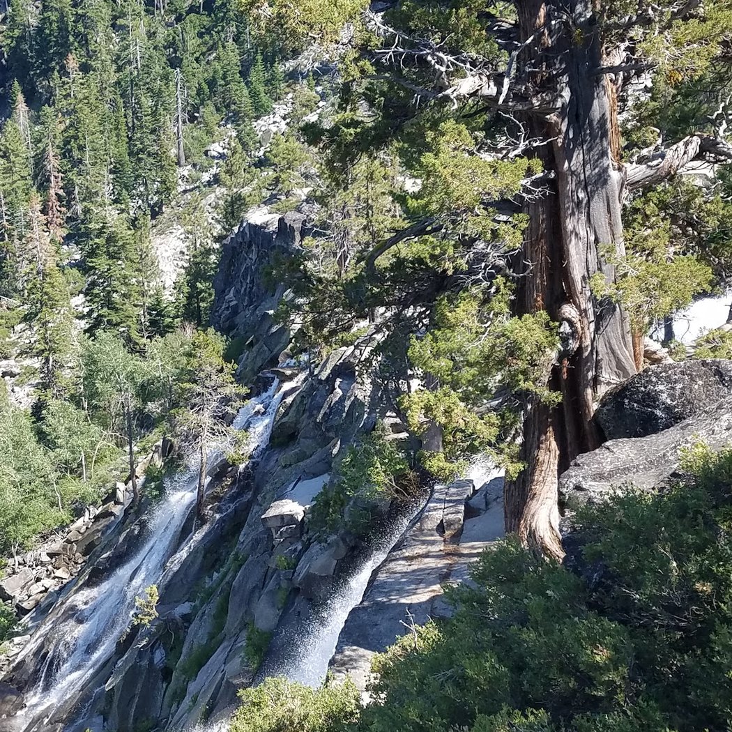 Cascade Falls Trail 2