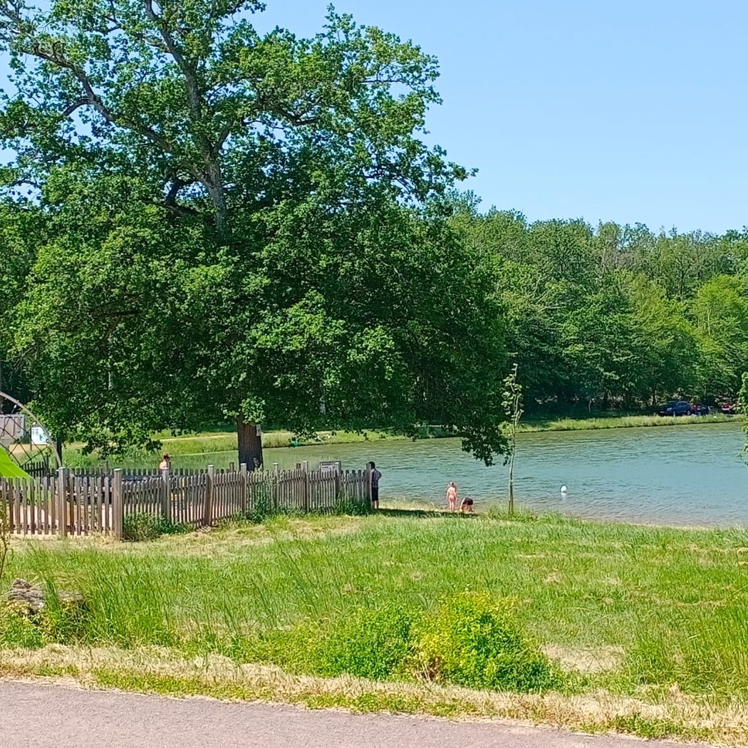 Plage Etang Chenaie 1