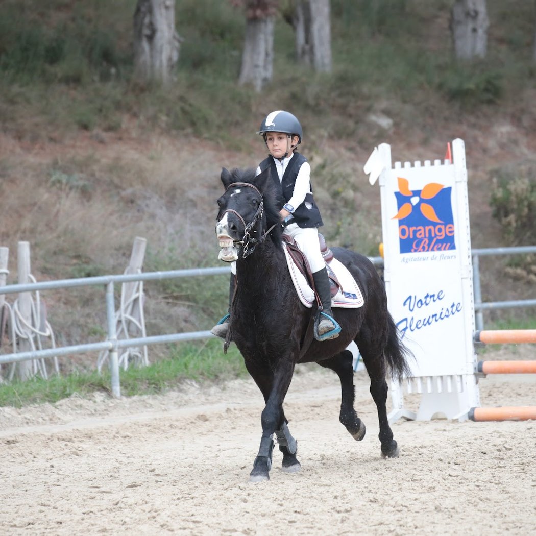 Concours de sauts d'obstacles 1
