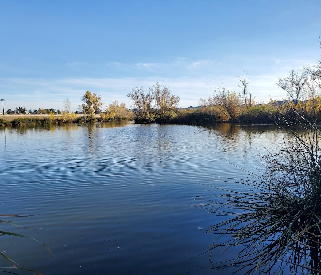 Sepulveda Basin Wildlife Reserve 2