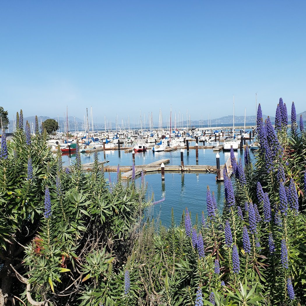 Gashouse Cove Marina 1