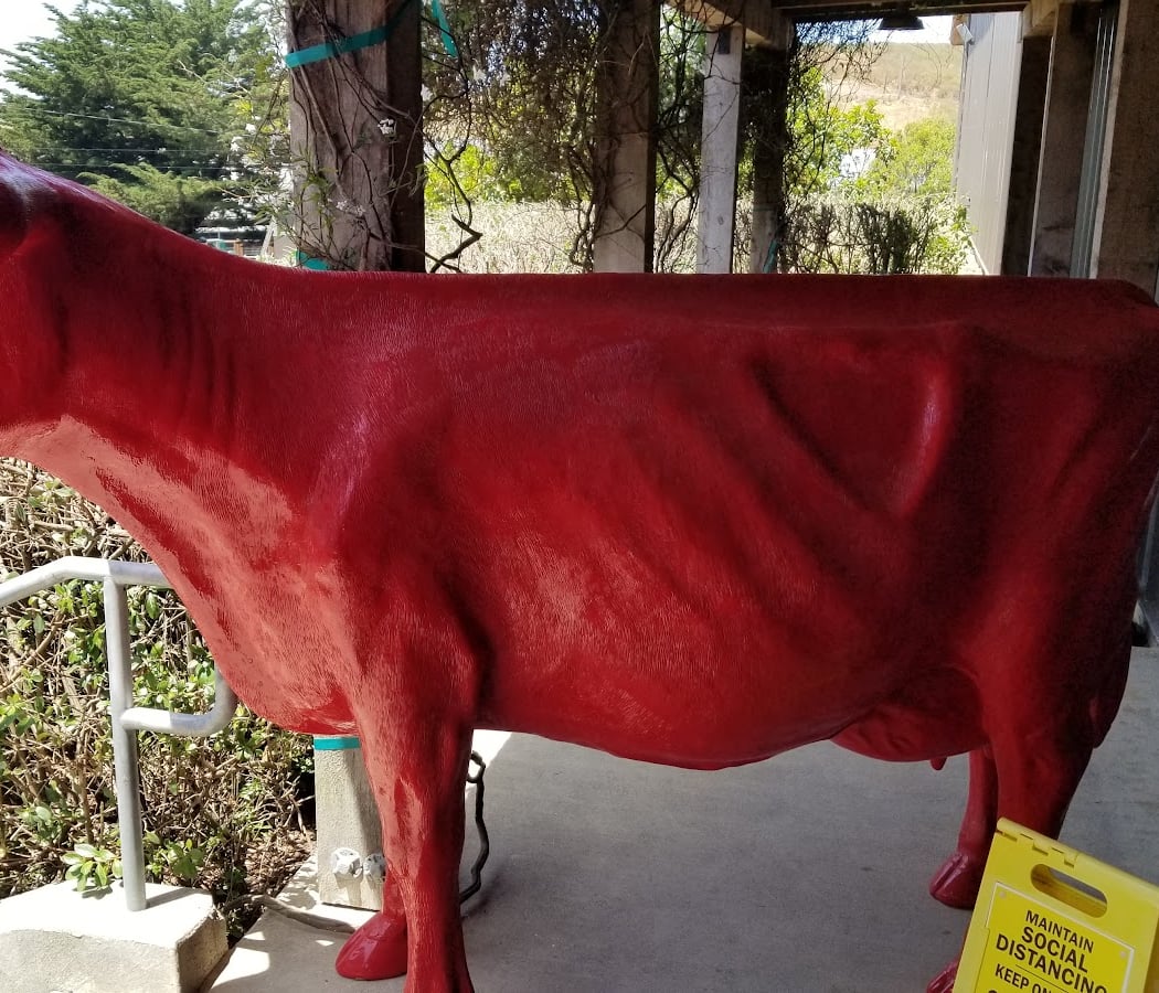 Marin Cheese Festival 4