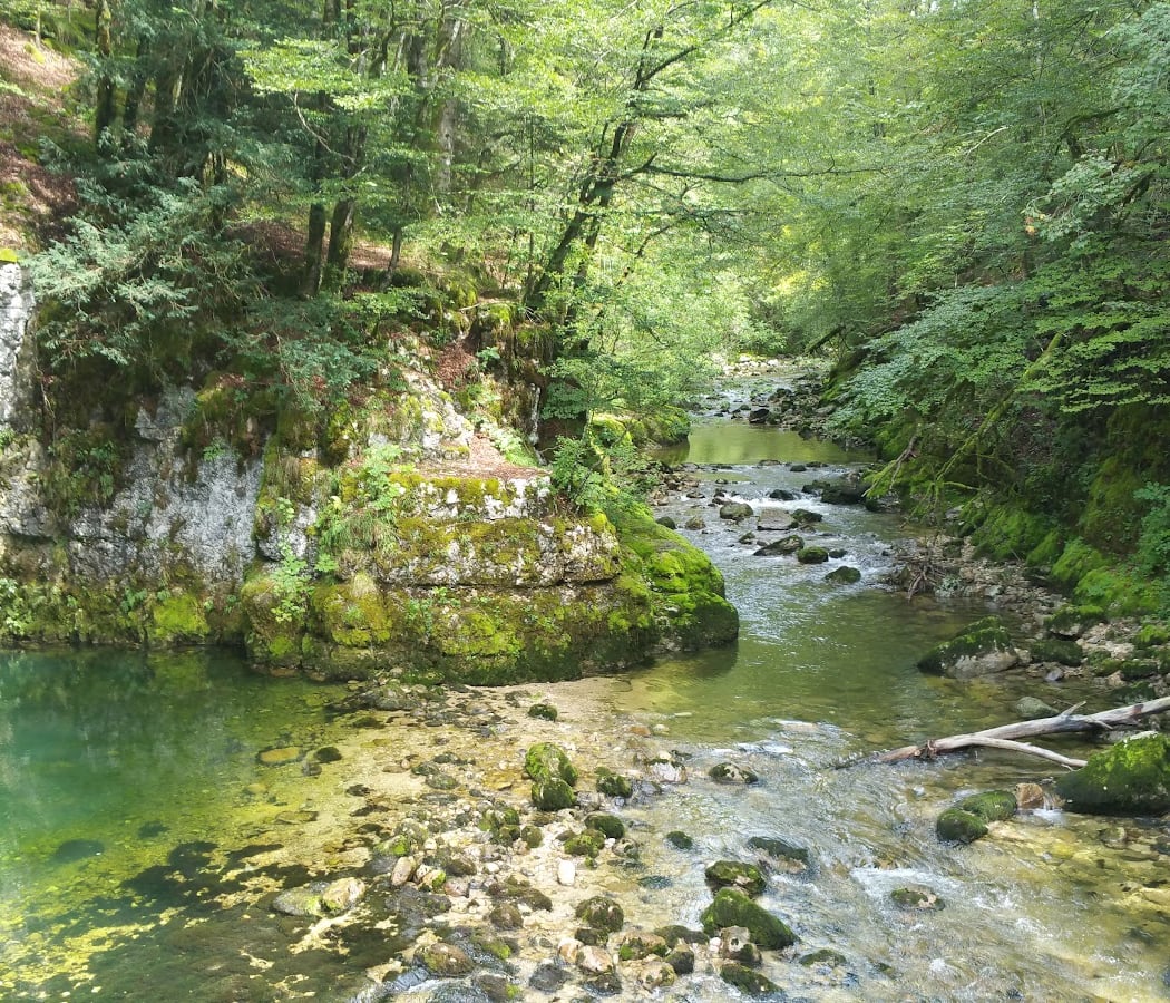 Morbier 2