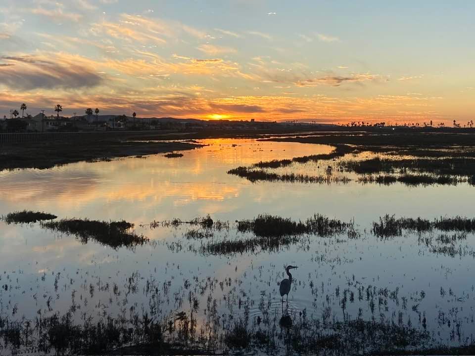 Huntington Beach Wetlands Conservancy Cleanup with Veterans 4