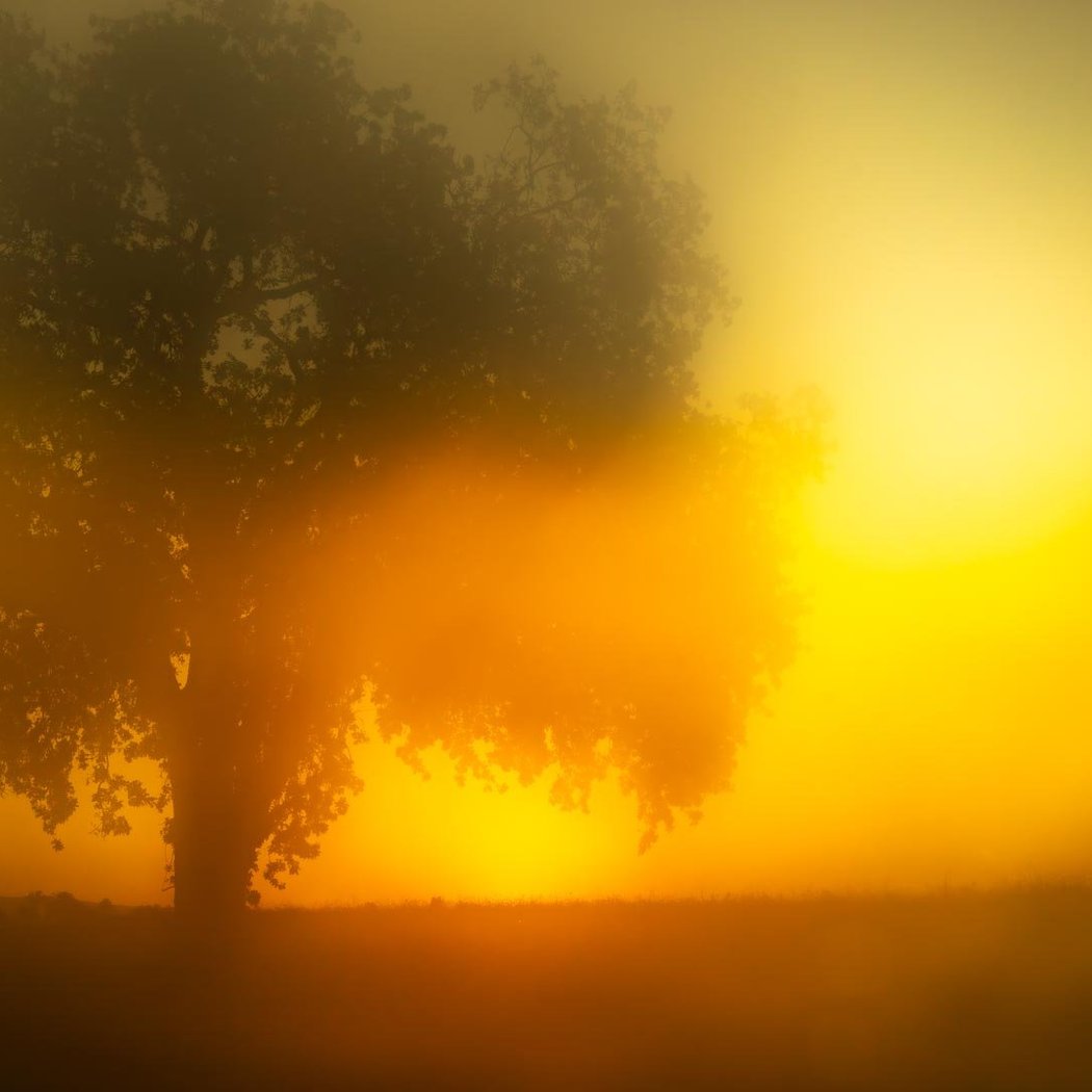 Artist Talk: Todd Hido 1