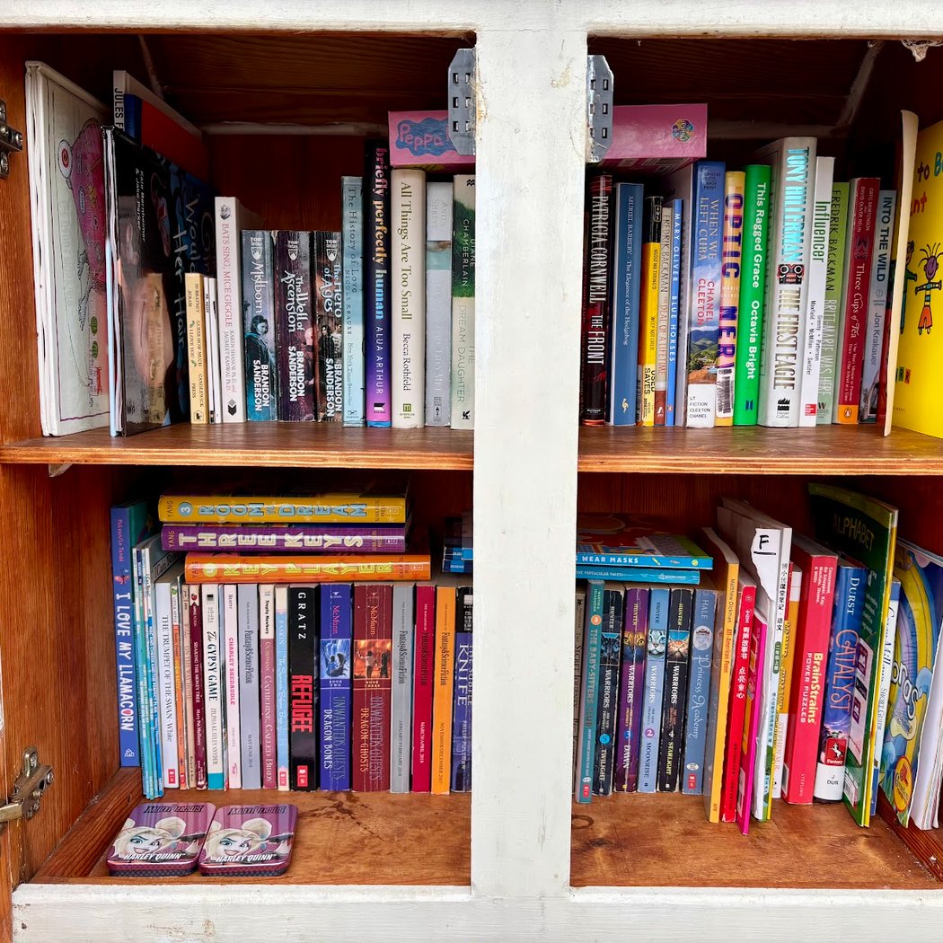 Mountain View Ave Little Free Library 1