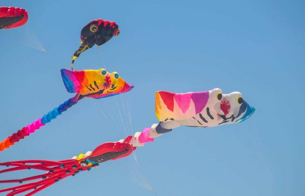 Festival de cerf-volant de Martigues 2