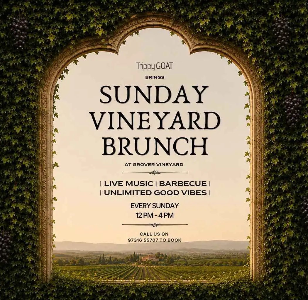 Sunday Vineyard Brunch 1