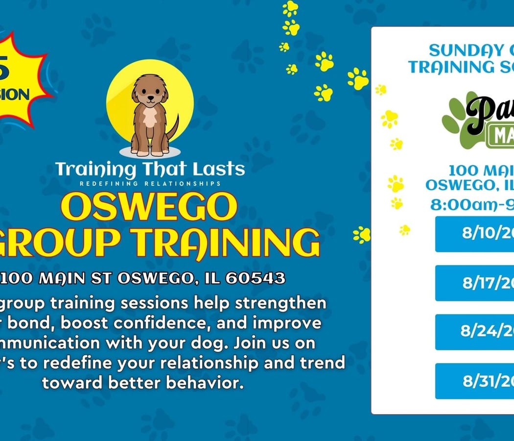 Oswego Group Dog Training 1