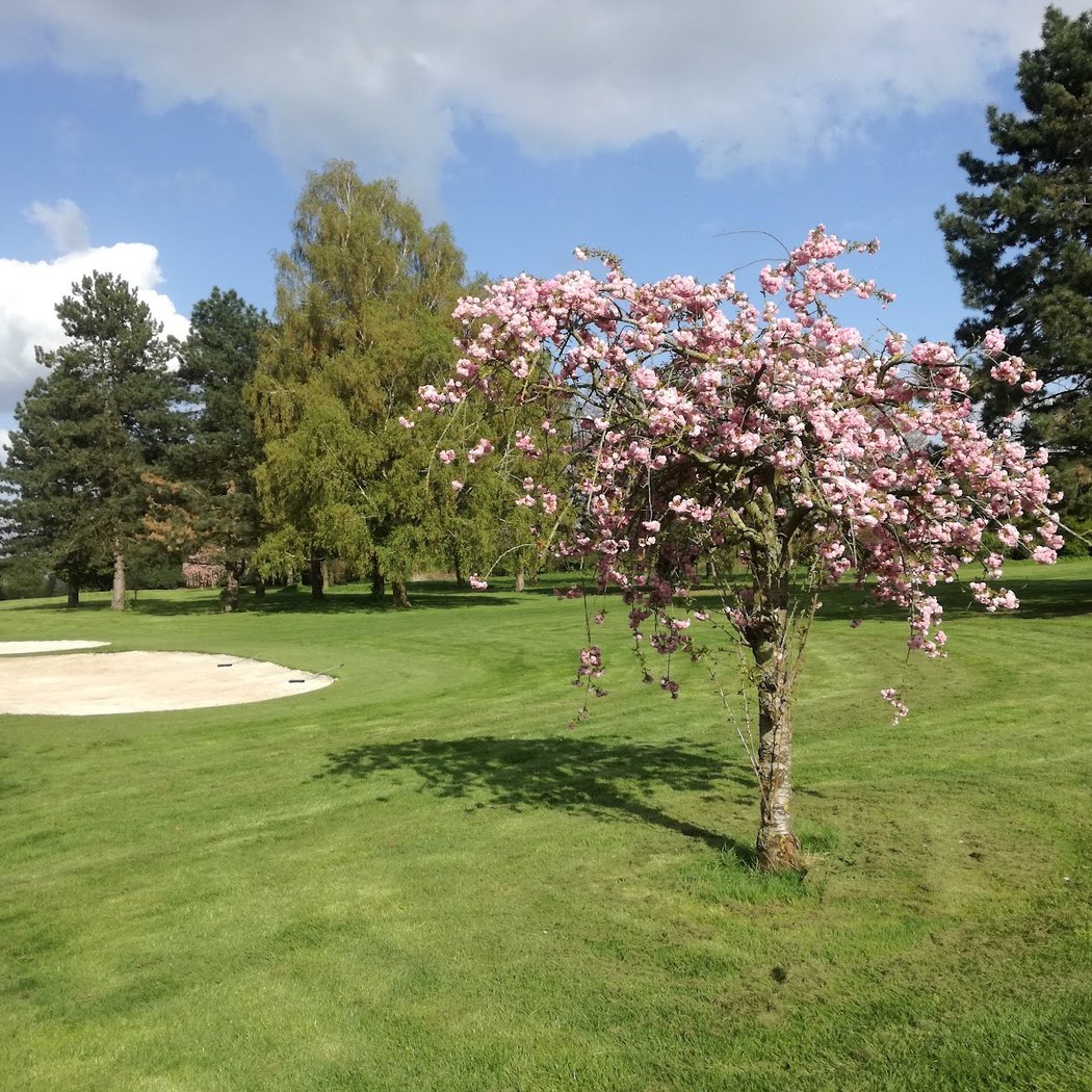 Golf Club Valenciennes 2