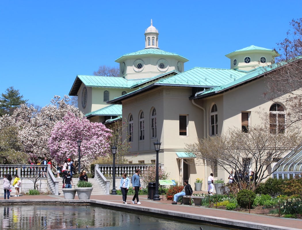 Cherry Blossom Festival (Sakura Matsuri) 2