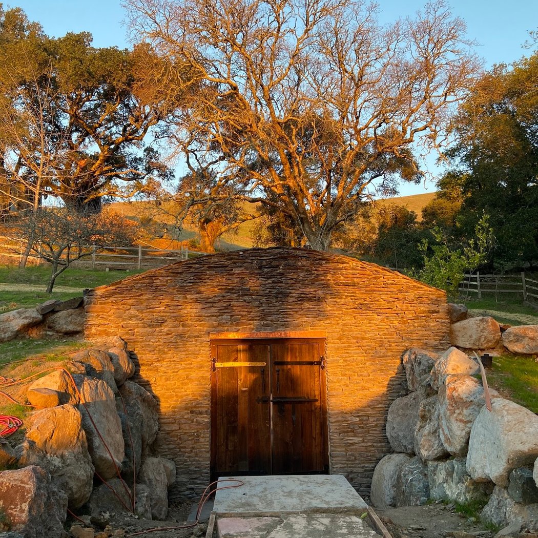 Stubbs Vineyard 4
