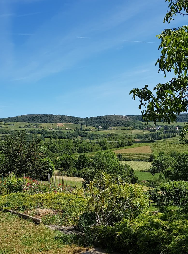 Domaine Nicolas Delfaud 3
