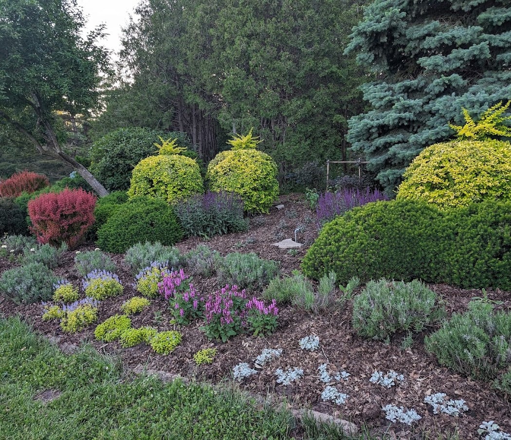Peace Garden Volunteering 1