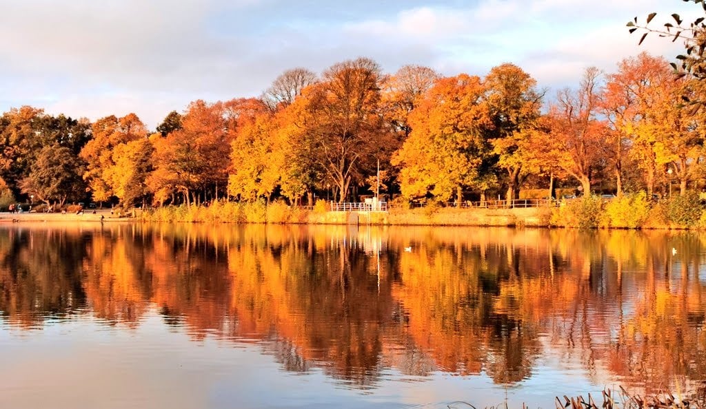Harburger Stadt Park 1