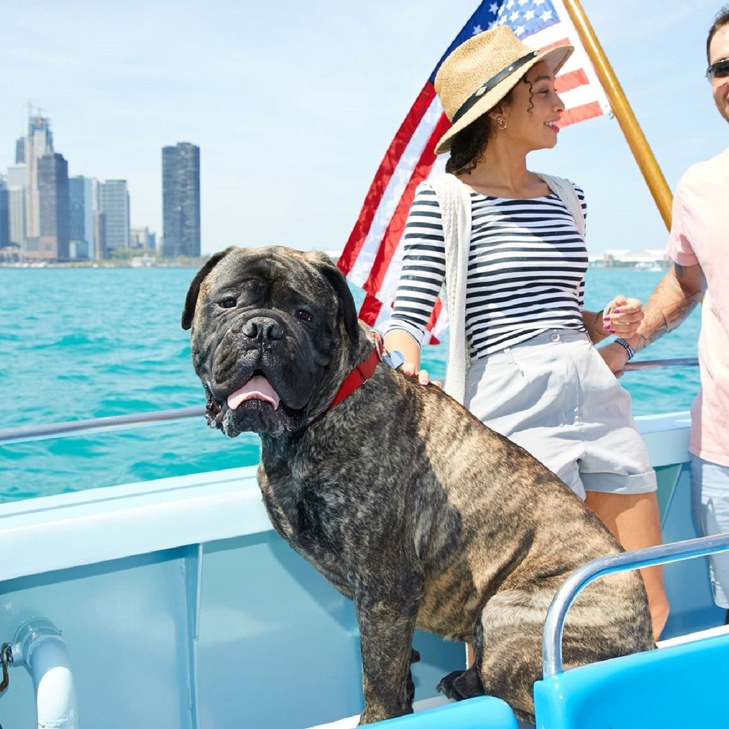 Cruising for Canines 1