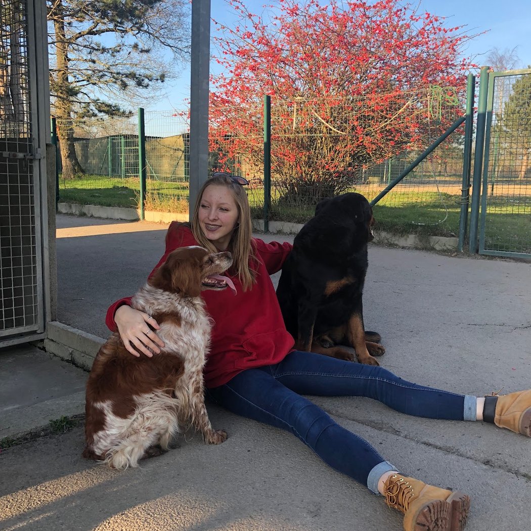 La Douce Vallée - Pension pour chien et chat 2