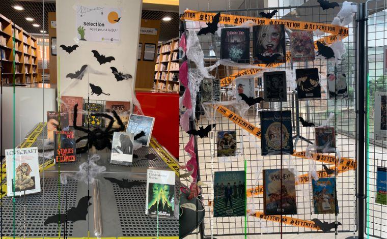 Halloween s'invite dans vos bibliothèques 1