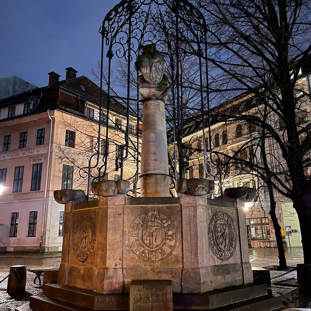 Bärentouren: Nachtwächtertour 2