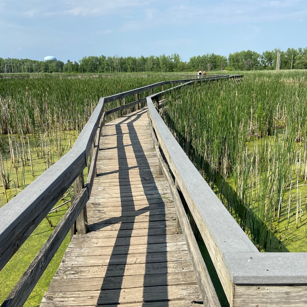 Tifft Nature Preserve 2