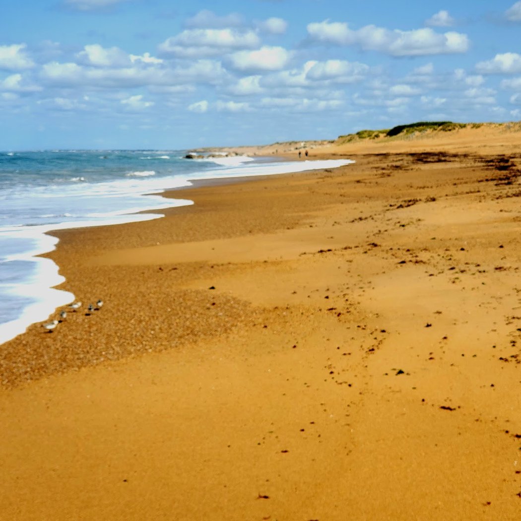 Plage de l'Aubraie 3