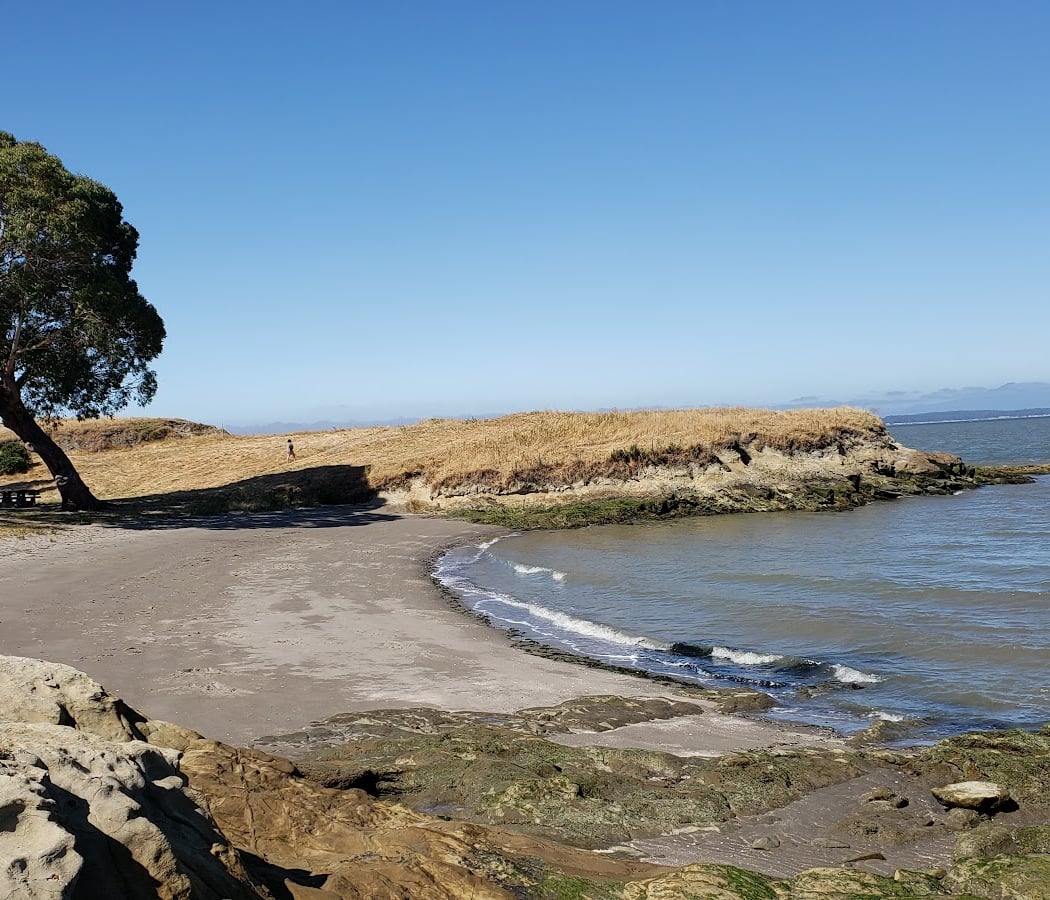 Lone Tree Point 1