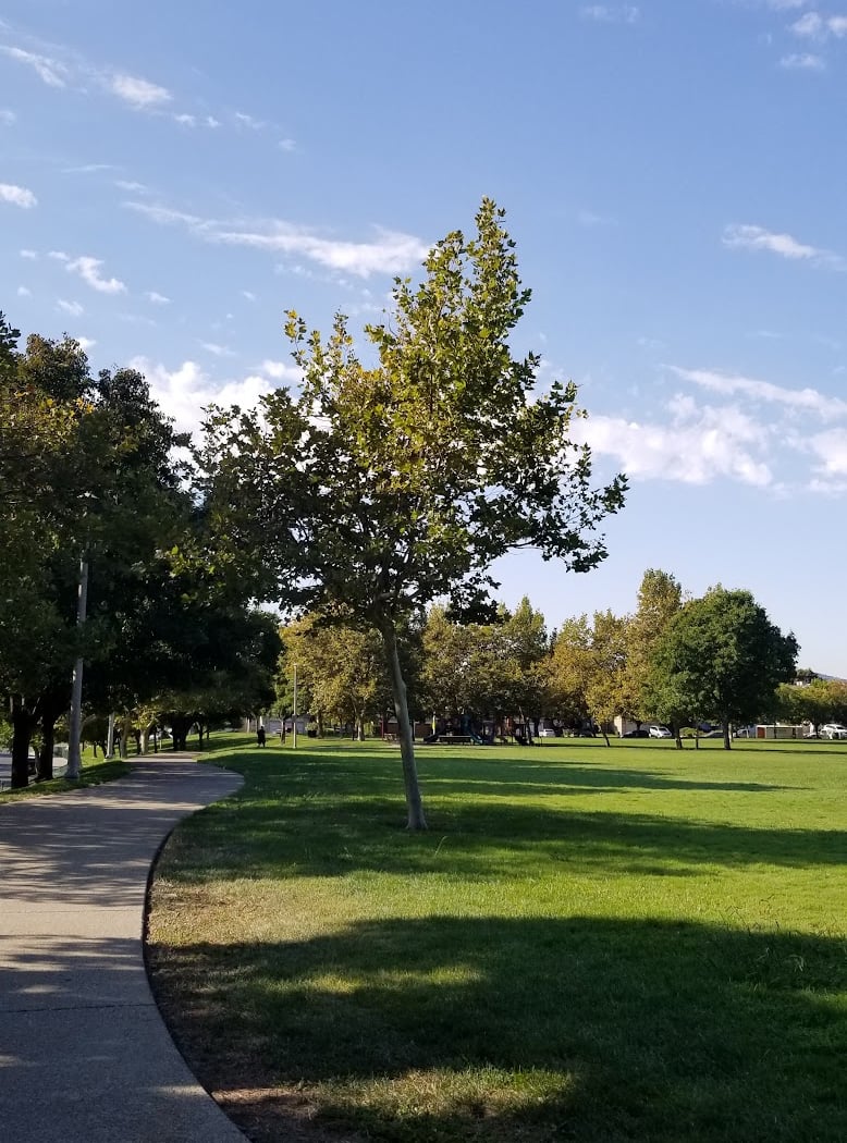 Eagleridge Park 2